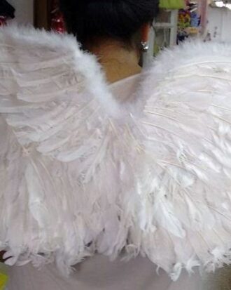 Alas de Angel - Plumas 01