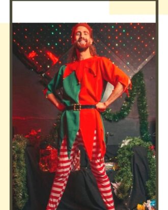 Ayudante de Papa Noel 11