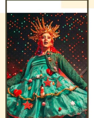 Ayudante de Papa Noel 16