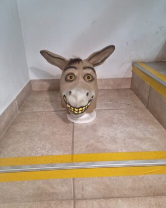 Burro 2