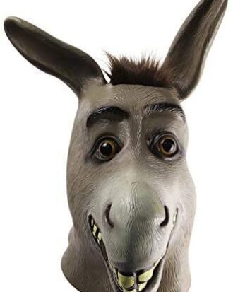 Burro