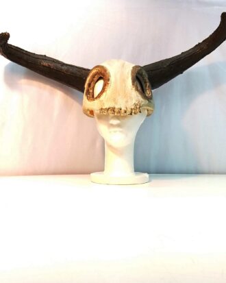 Cabezal Vikingo 02