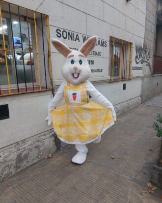 Coneja de Pascuas con Vestido