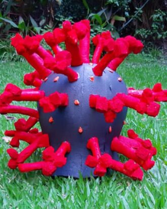 Corona Virus