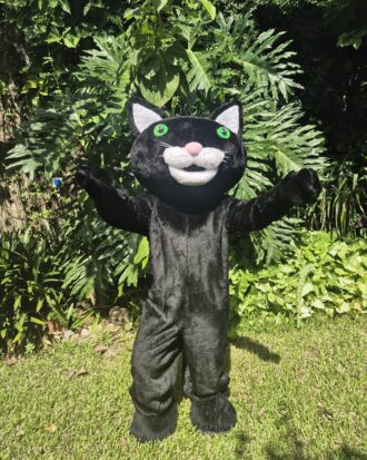 Gato Negro 01