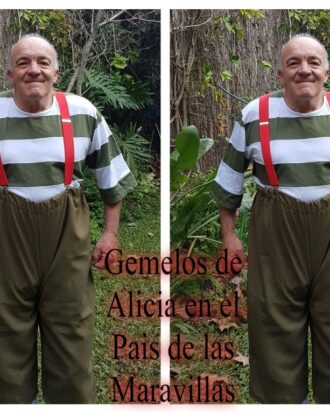 Gemelos de Alicia en el Pais de las Maravillas
