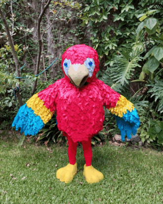 Guacamayo Rojo