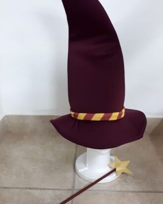 Harry Potter (sombrero y varita)