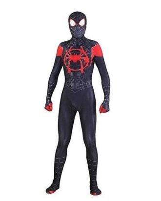 Hombre Araña 04