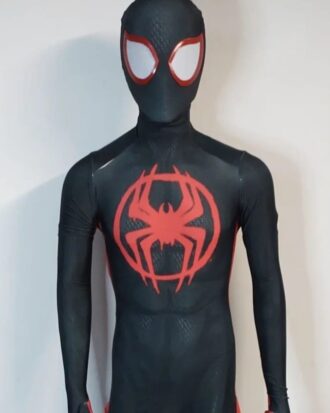Hombre Araña 06