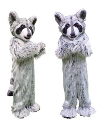 Mapache