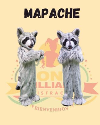 Mapache