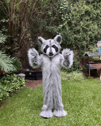 Mapache