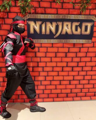 Ninja 04