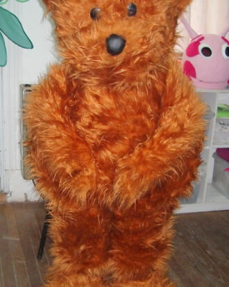 Oso Marron Cabezudo