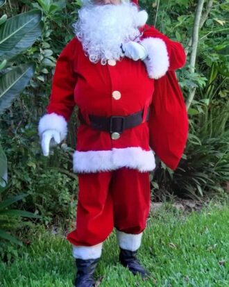 Papa Noel 01(Pana)