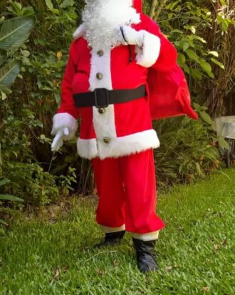 Papa Noel 02 (Aloba)