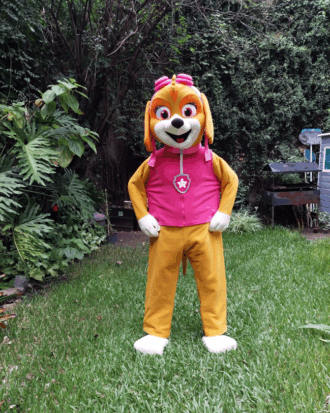 Paw Patrol - Skye
