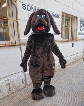 Perro 03
