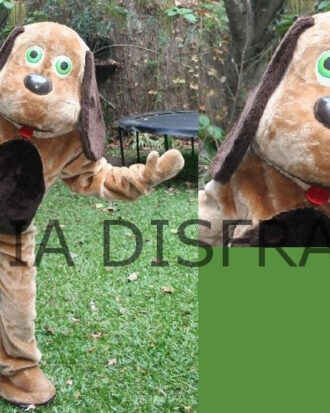 Perro Cabezudo 01