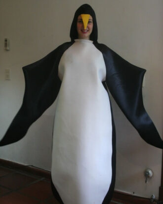 Pinguino 01