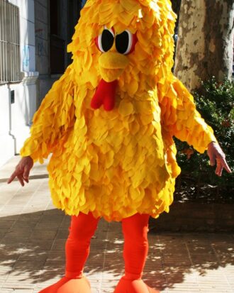 Pollo 04
