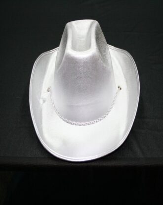 Sombrero Plateado
