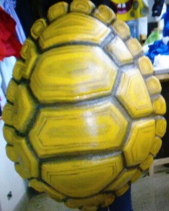 Tortuga Caparazon