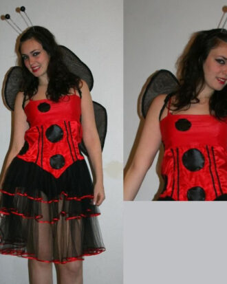 Vaquita de San Antonio 01