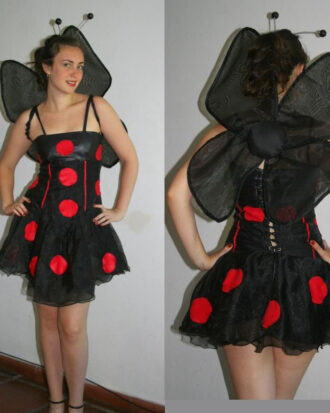 Vaquita de San Antonio 03