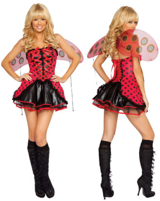 Vaquita de San Antonio 04