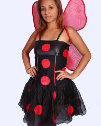 Vaquita de San Antonio 05