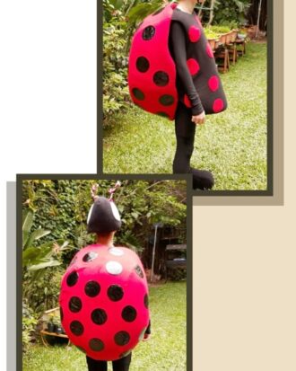 Vaquita de San Antonio