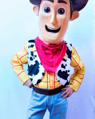 Woody Toy Story