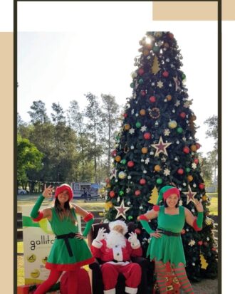 Papa Noel y ayudantes Gallito