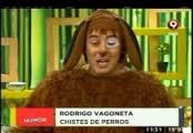 Que Mañana 15