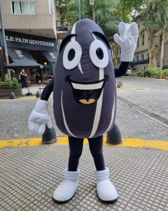 Semilla de Girasol para Girasolazo - Lincoln